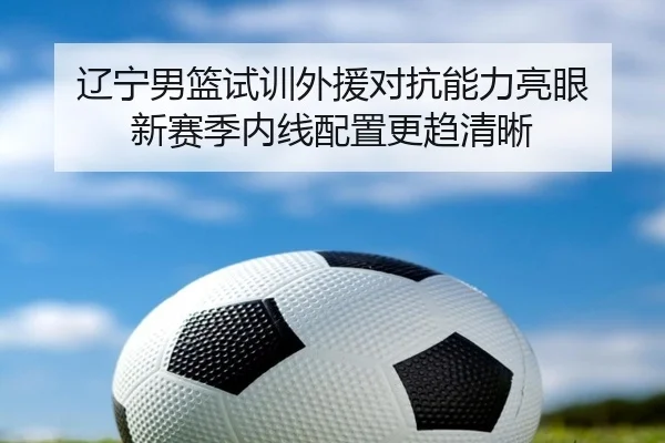 辽宁男篮试训外援对抗能力亮眼 新赛季内线配置更趋清晰